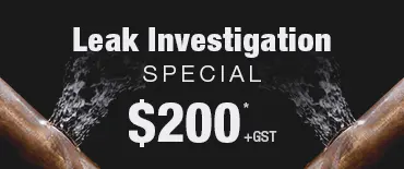 Leak Investigation Discount Onetangi